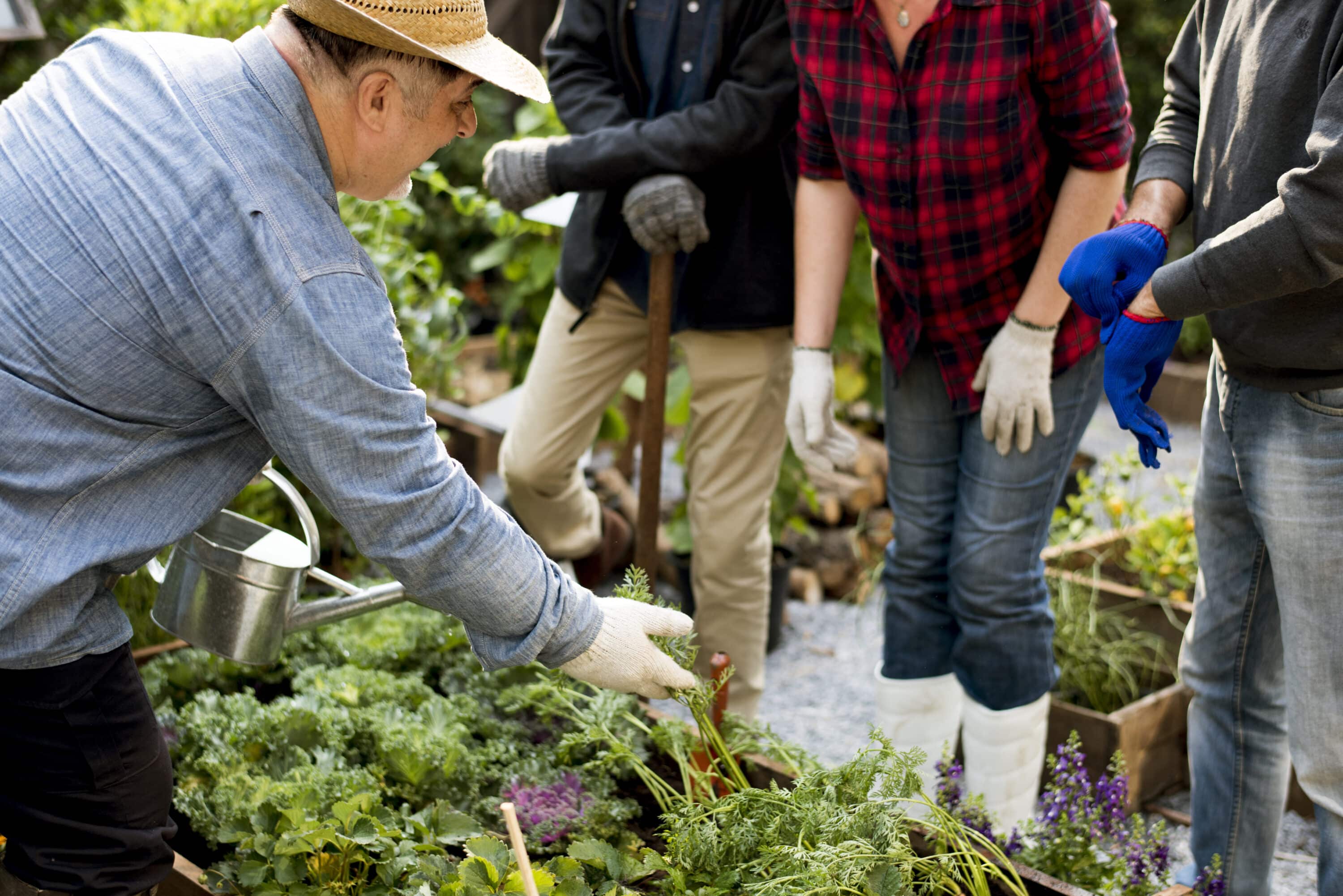 Groupe de personnes jardinant ensemble, bienfaits du jardinage