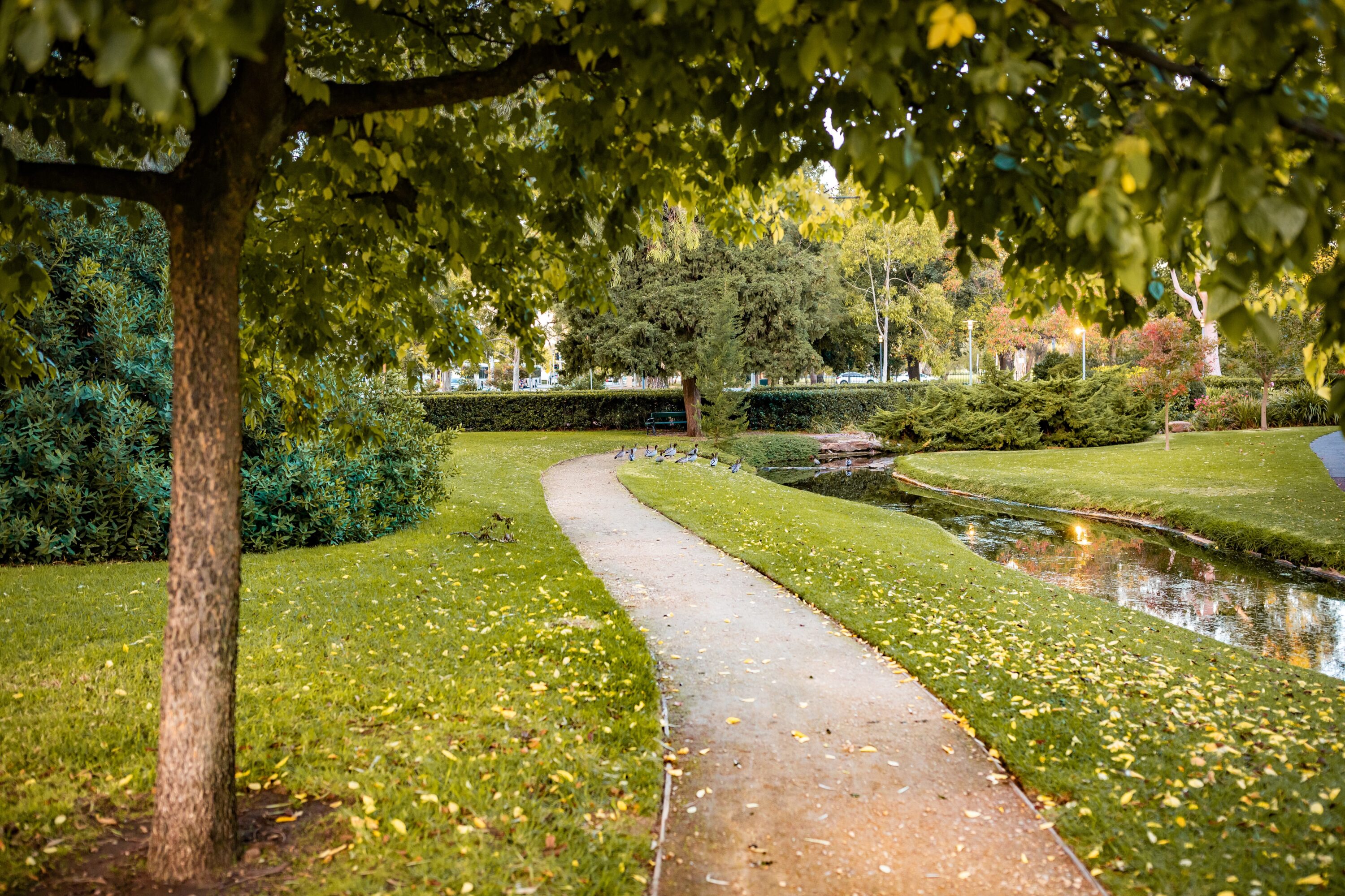 Beautiful shot of park pathway surrounded with amazing nature Allée sinueuse dans un parc paysager avec pelouse entretenue, arbres feuillus et petit ruisseau bordé de végétation.