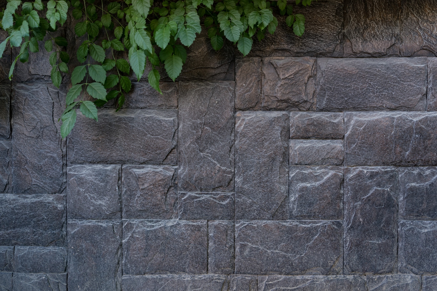 Mur ardoise jardin Mur ardoise jardin