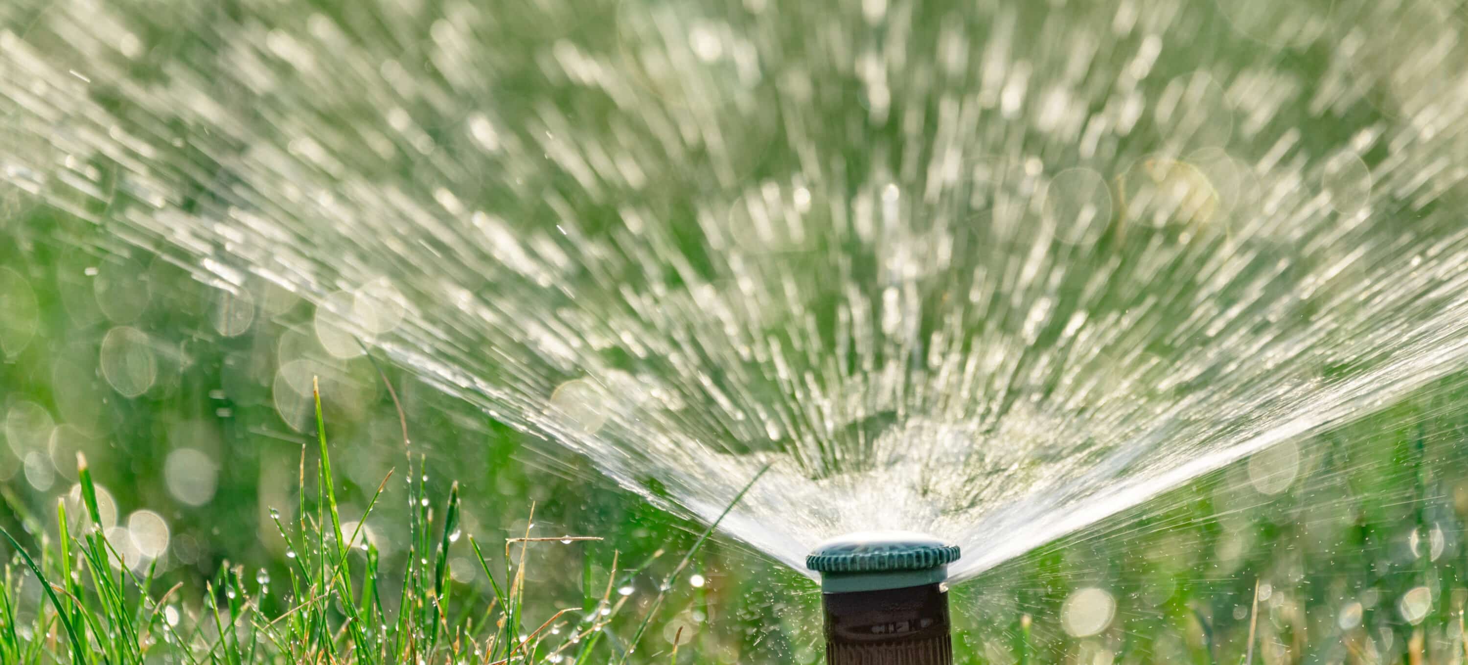 Arroseur automatique en fonctionnement pour irriguer la pelouse avant l'été