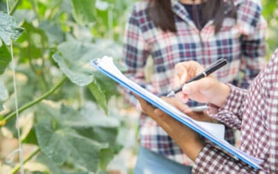 Préparer son jardin pour l’été à Bordeaux : la checklist du paysagiste