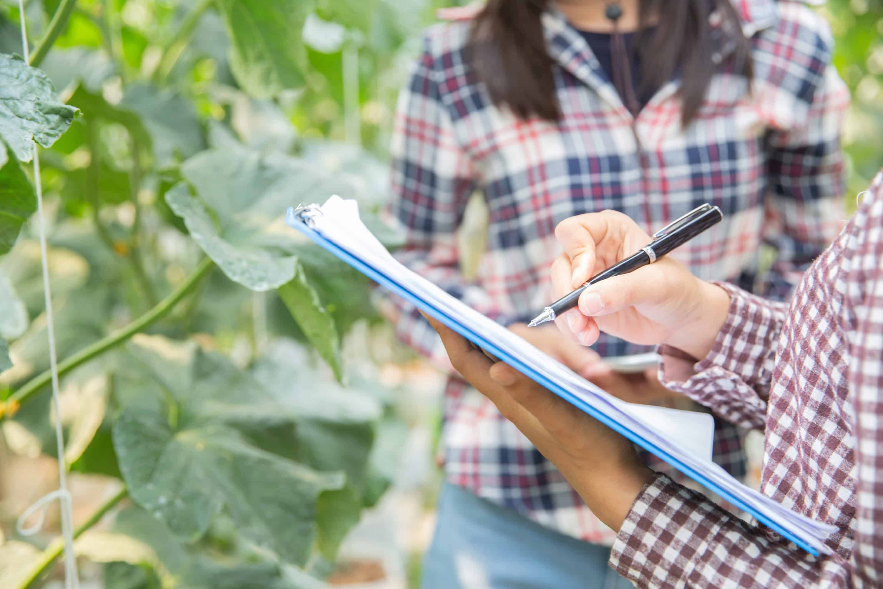 checklist du paysagiste Inspection des végétaux et diagnostic de jardin avant l'été par un paysagiste