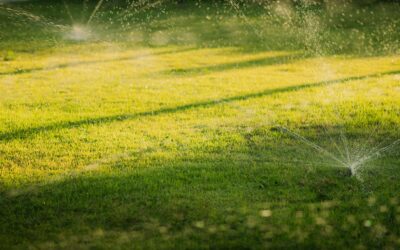 Entretien des pelouses pendant la canicule : que faire en Gironde ?
