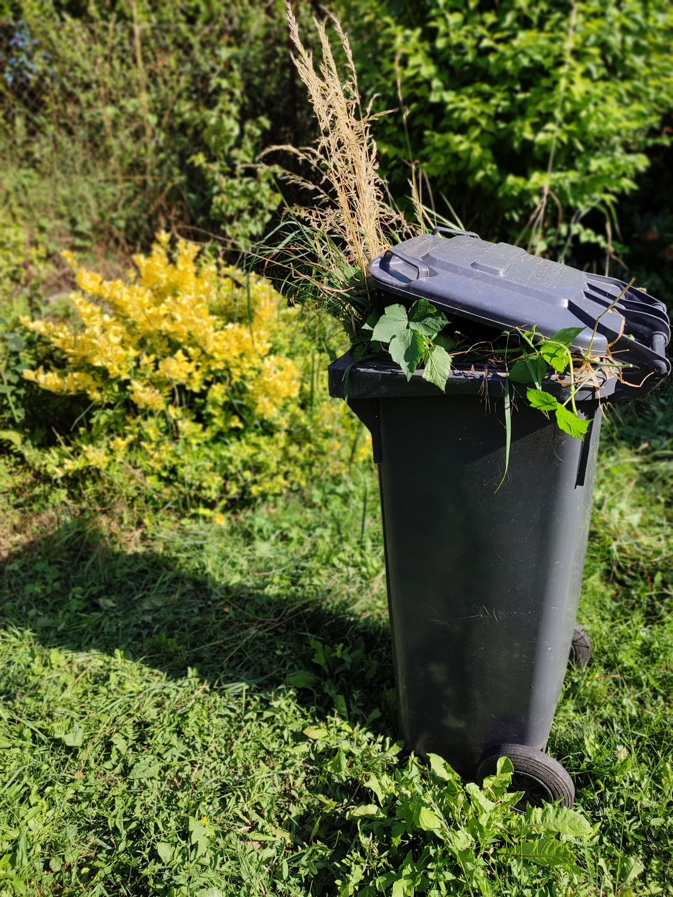 Déchets verts réunis après des travaux de débroussaillement dans un jardin