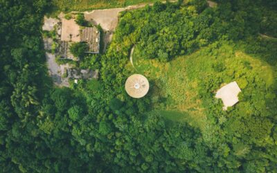 L’obligation de débroussaillement pour limiter la propagation des feux