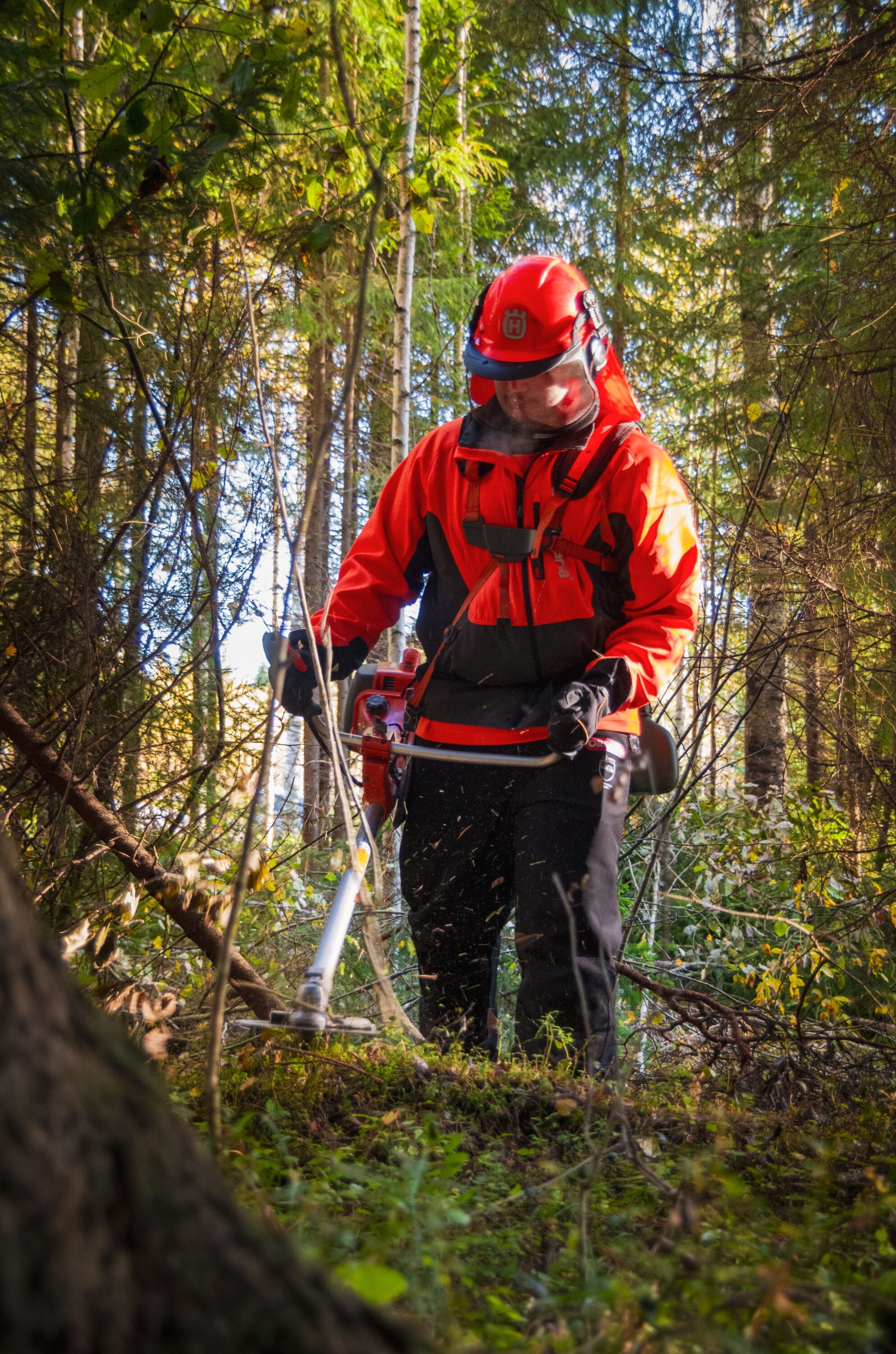 Professionnel équipé d’une débroussailleuse pour réduire les broussailles en sous-bois