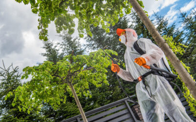 Démoustication de jardin à Bordeaux : efficacité, prix et intervention professionnelle