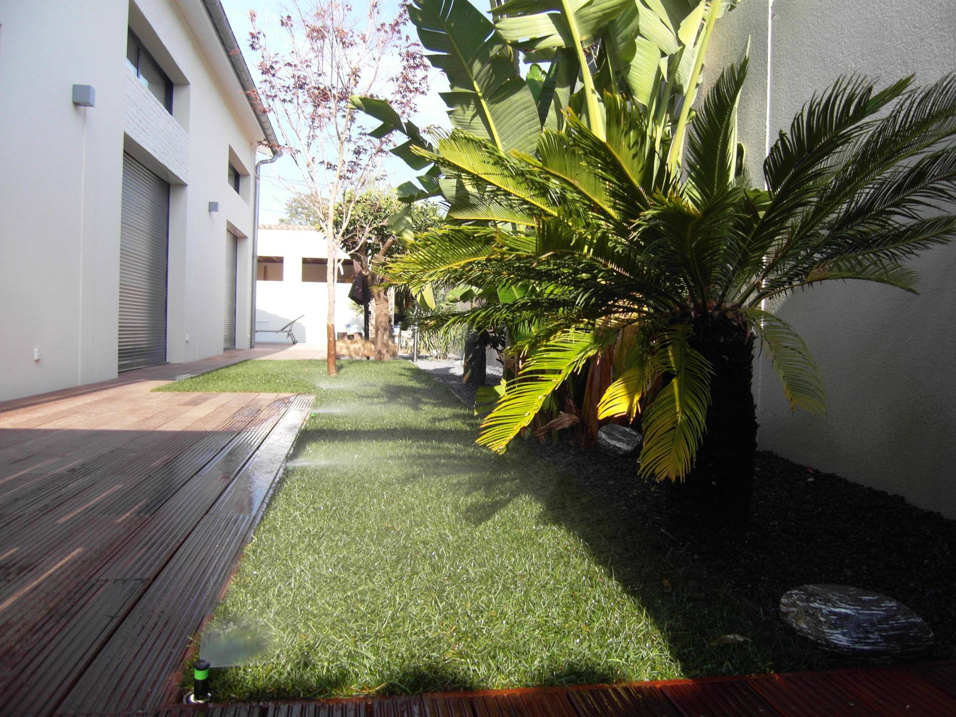 Arrosage automatique dans un petit jardin de ville