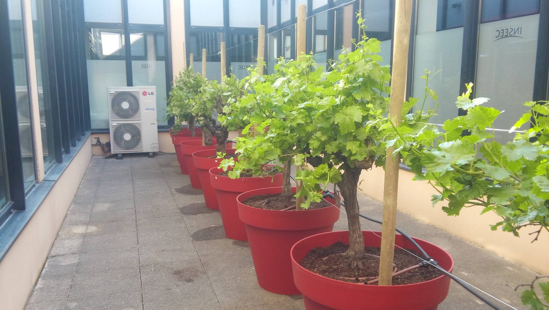 Arrosage automatique pour des pots à l'INSEEC de Bordeaux